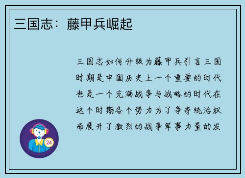 三国志：藤甲兵崛起